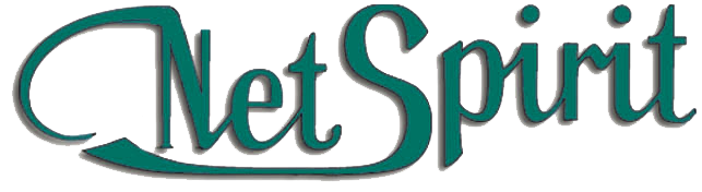 Logotipo Netspirit